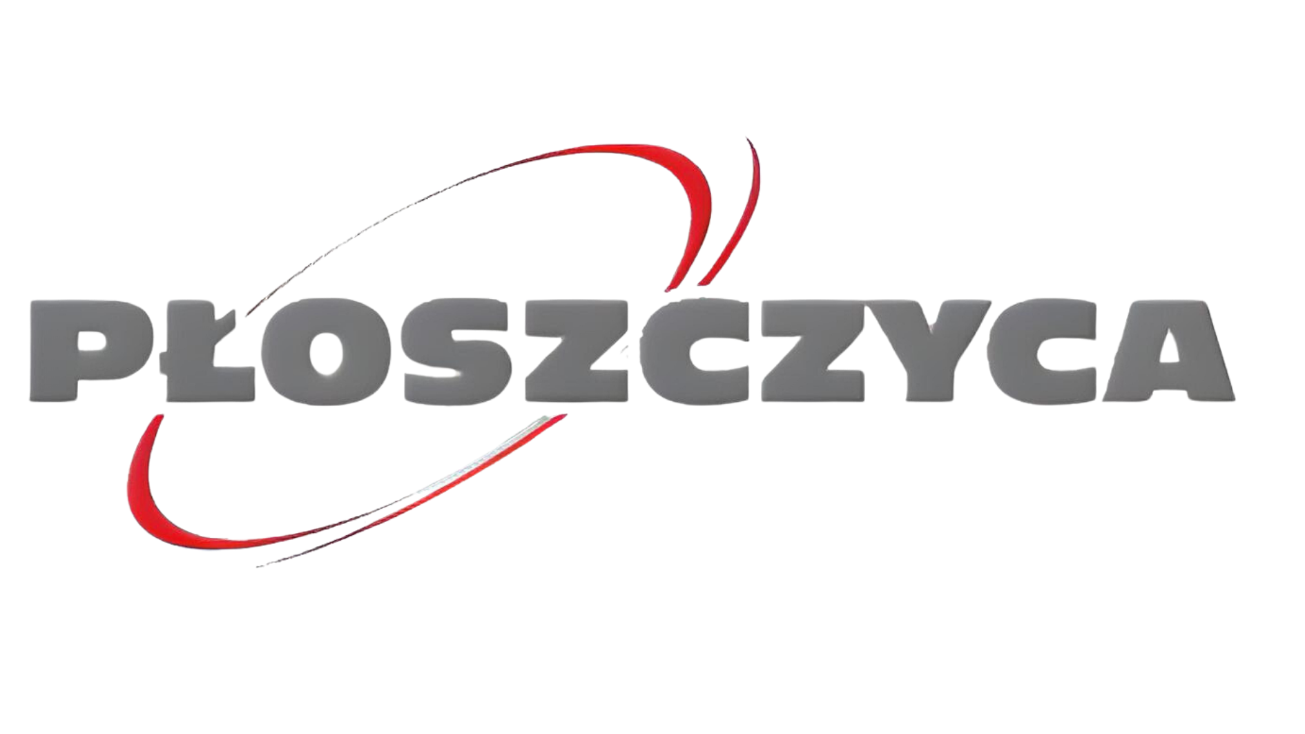 Partner i instytucja 1