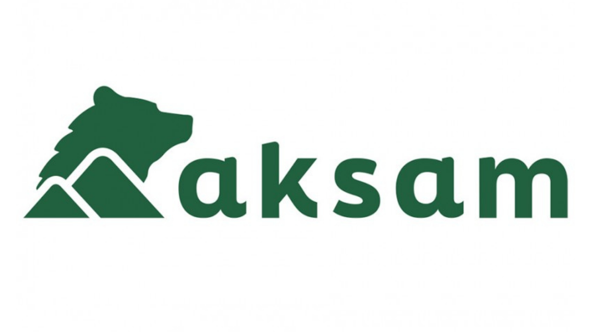 Partner i instytucja 11